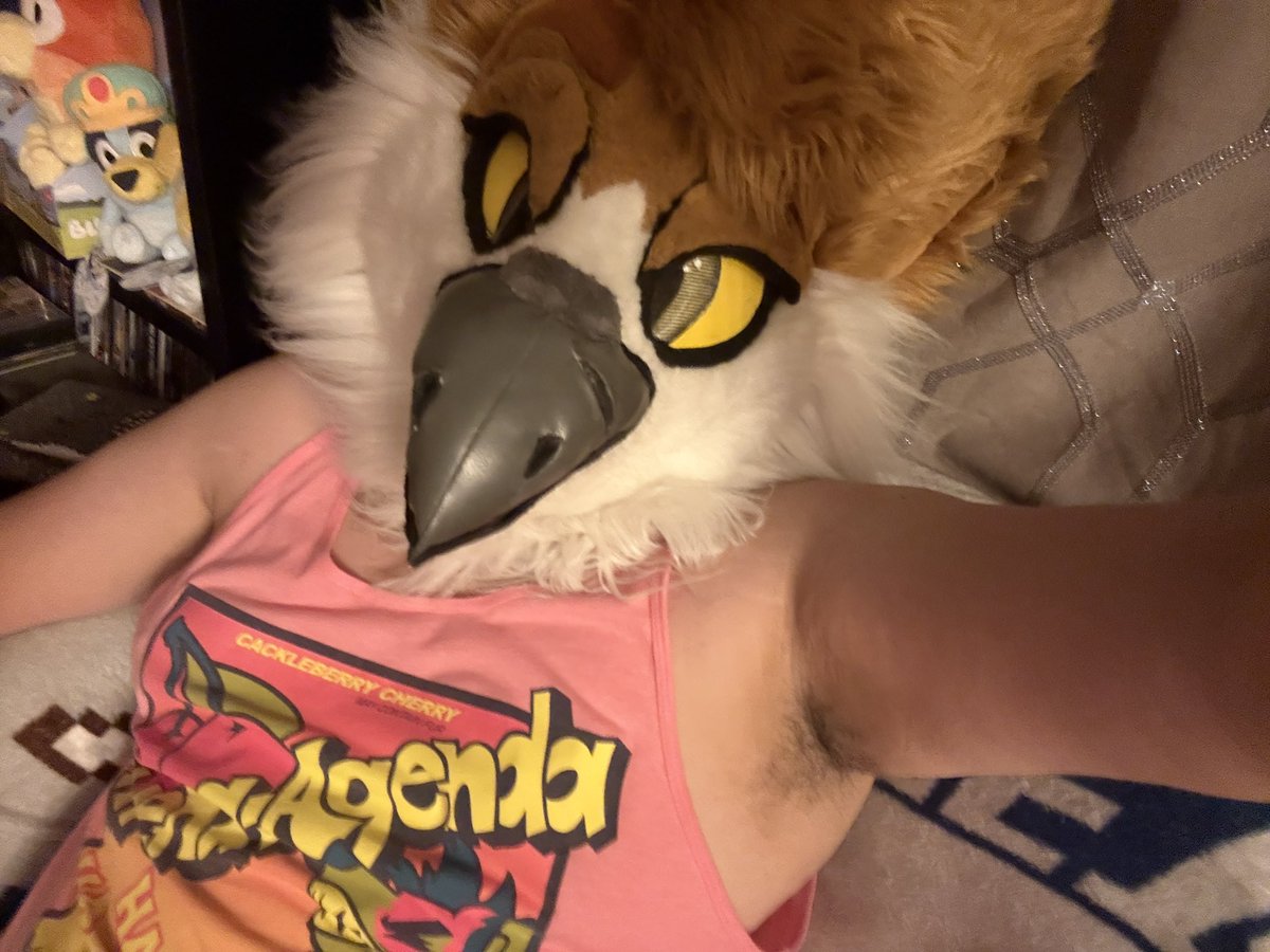 Gizmo🦉🦊 tweet media