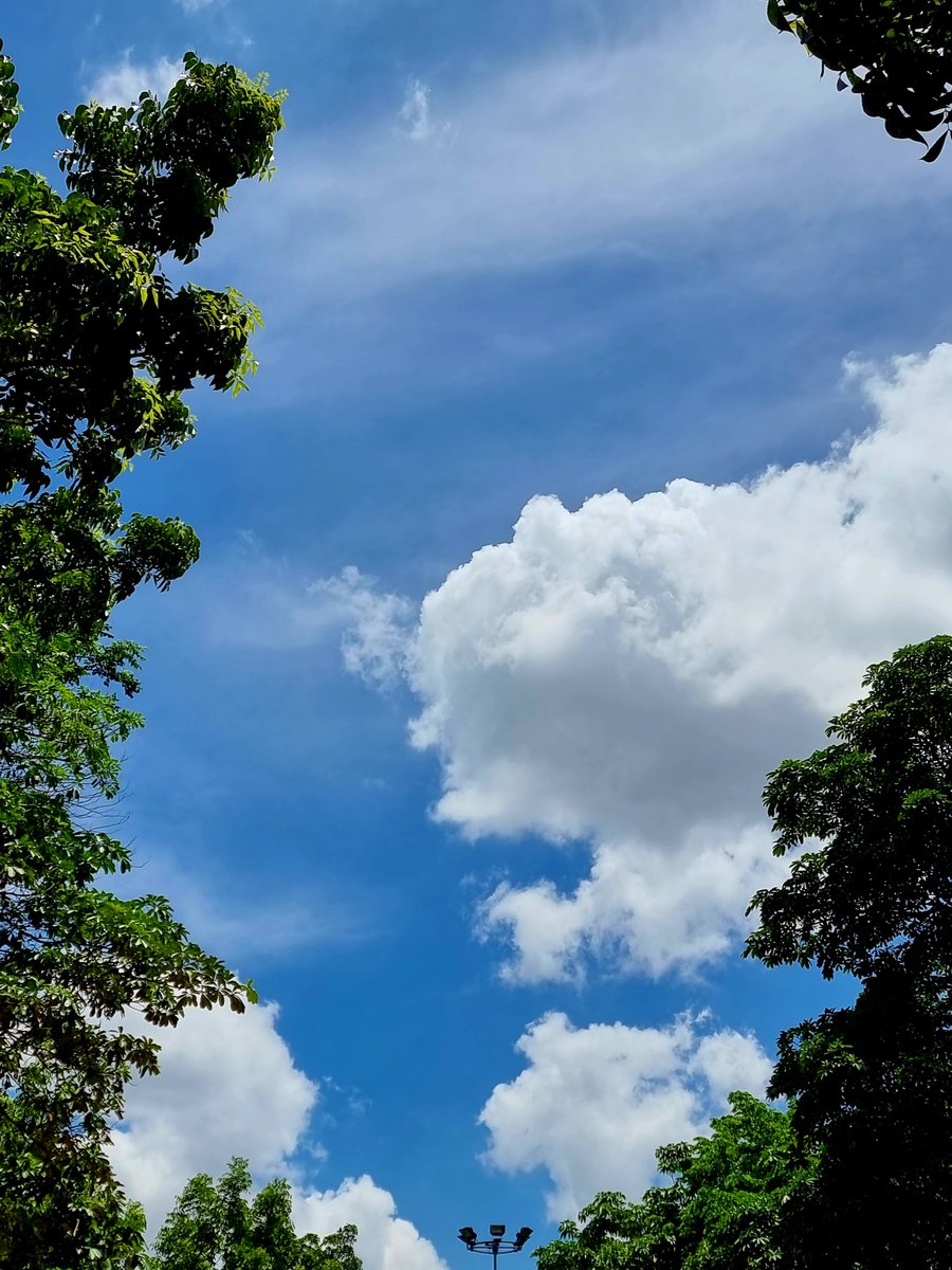 p_tomatouji's tweet photo. ขอให้เป็นวันที่น่ารักใจดีนะคั้บบ 🫶🏻🍀☁️🐞
#CloudforMars
#marminkmani https://t.co/bqFlxbSPpM