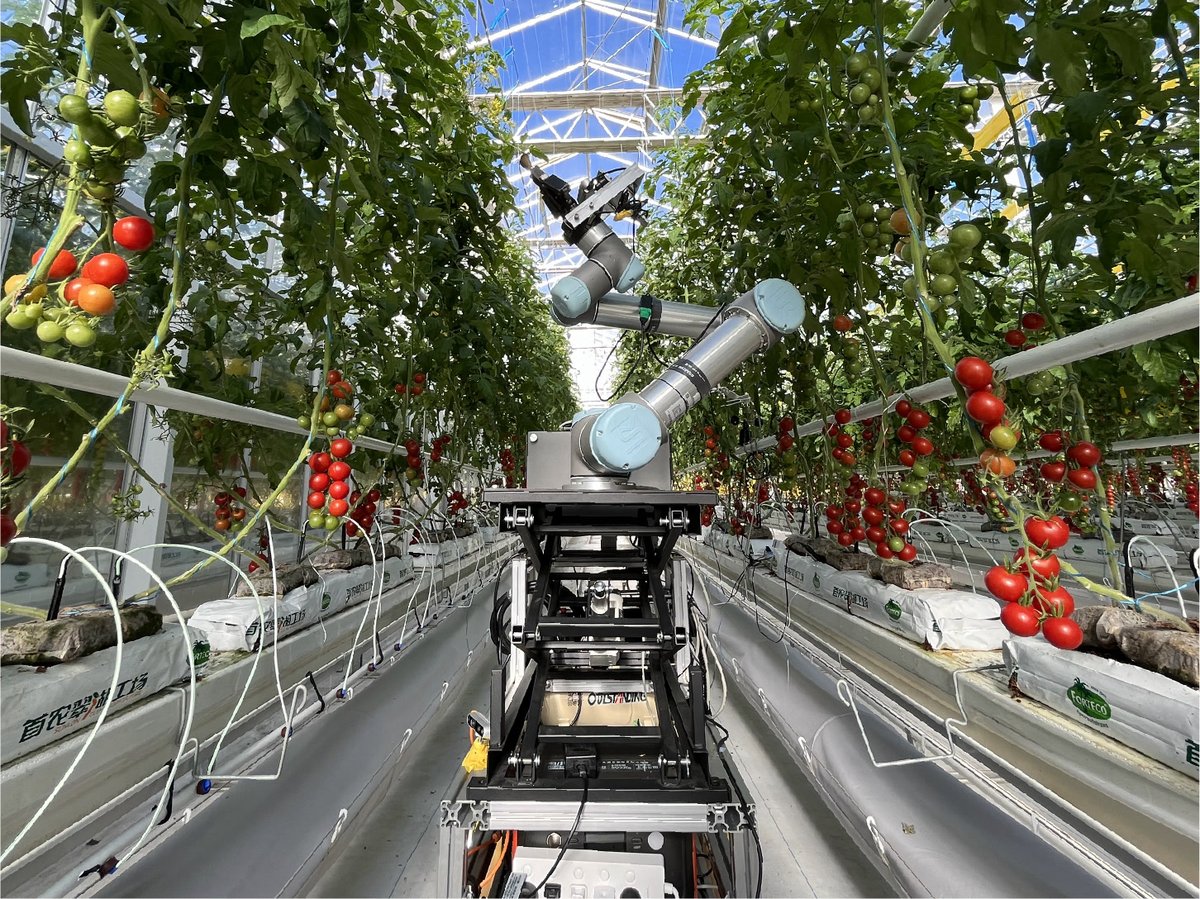 BeijingEvening's tweet photo. 打卡大城｜这里的农作物授粉用上机器人
A quiet scientific revolution is unfolding in #Beijing’s countryside. From driverless tractors to robot seed breeders and crop-checking robo-dogs, these sci-fi scenes are becoming a reality right in the fields. #FutureFarming #SmartAgriculture https://t.co/35ELcoyQ9T