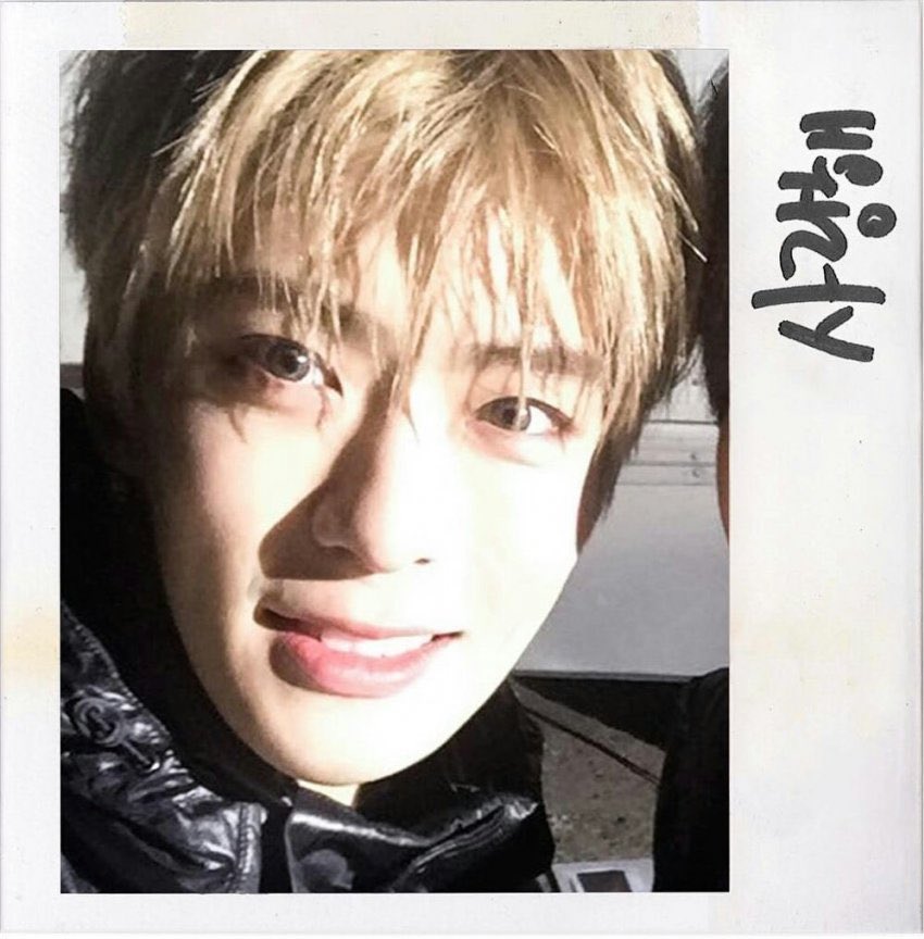 뽀이 tweet media