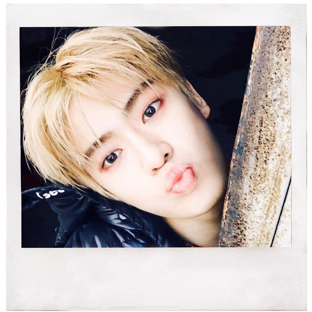 뽀이 tweet media
