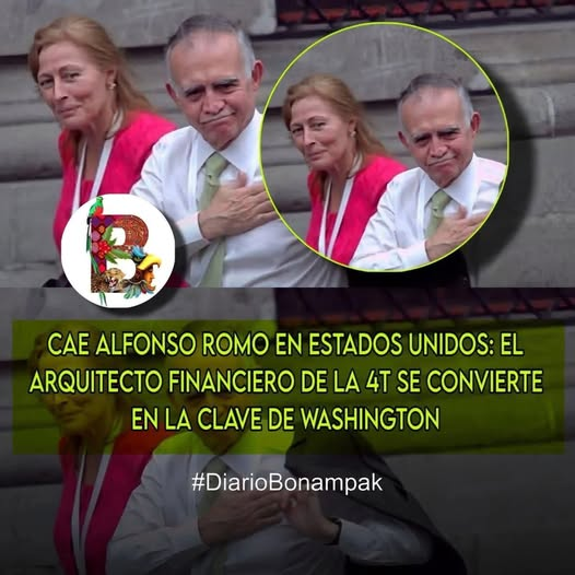 constanza luna tweet media