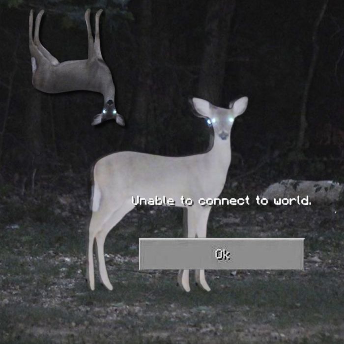 deer tweet media