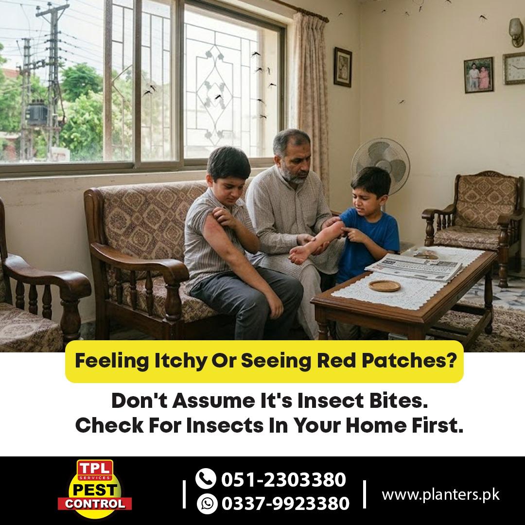 TPL Pest Control tweet media