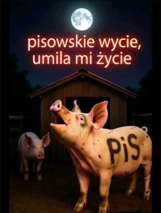 Xen🇵🇱🇪🇺 tweet media