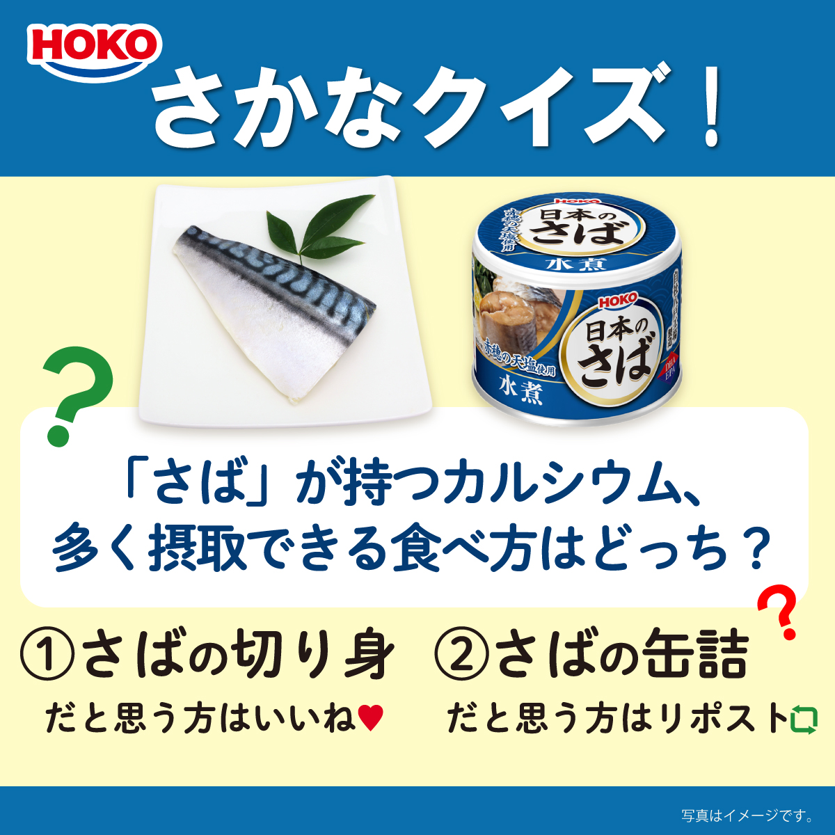 hoko_official's tweet photo. \5月の #さかなクイズ/
皆さん、カルシウムは摂れていますか?
【問題】
「さば」が持つカルシウム、多く摂取できる食べ方はどっち?
「①さばの切り身」ならいいね💛
「②さばの缶詰」ならリポスト🔃
で回答をお願いします!
#宝幸 #HOKO https://t.co/dmoIVVXTo0