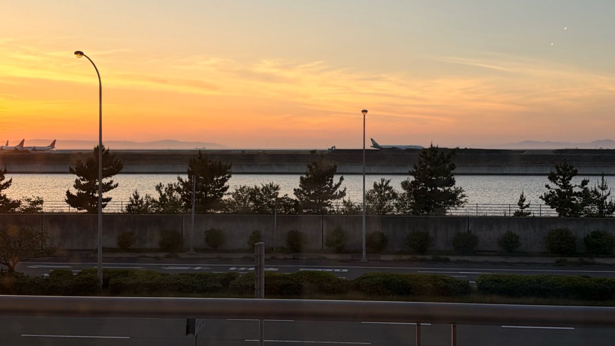 01YM0's tweet photo. 充実してるな https://t.co/eSIw7HTVQQ
