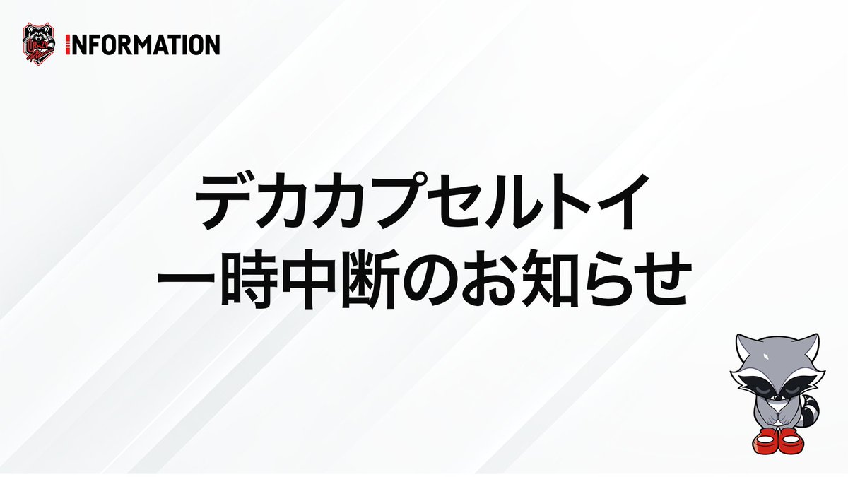 Crazy Raccoon tweet media