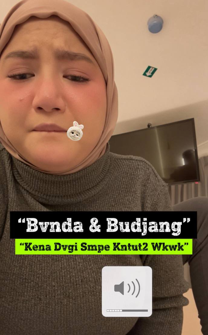 tayla tweet media