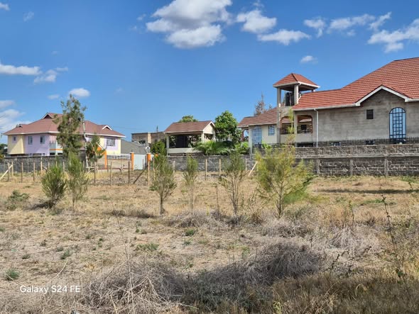 Bei Bora Properties tweet media