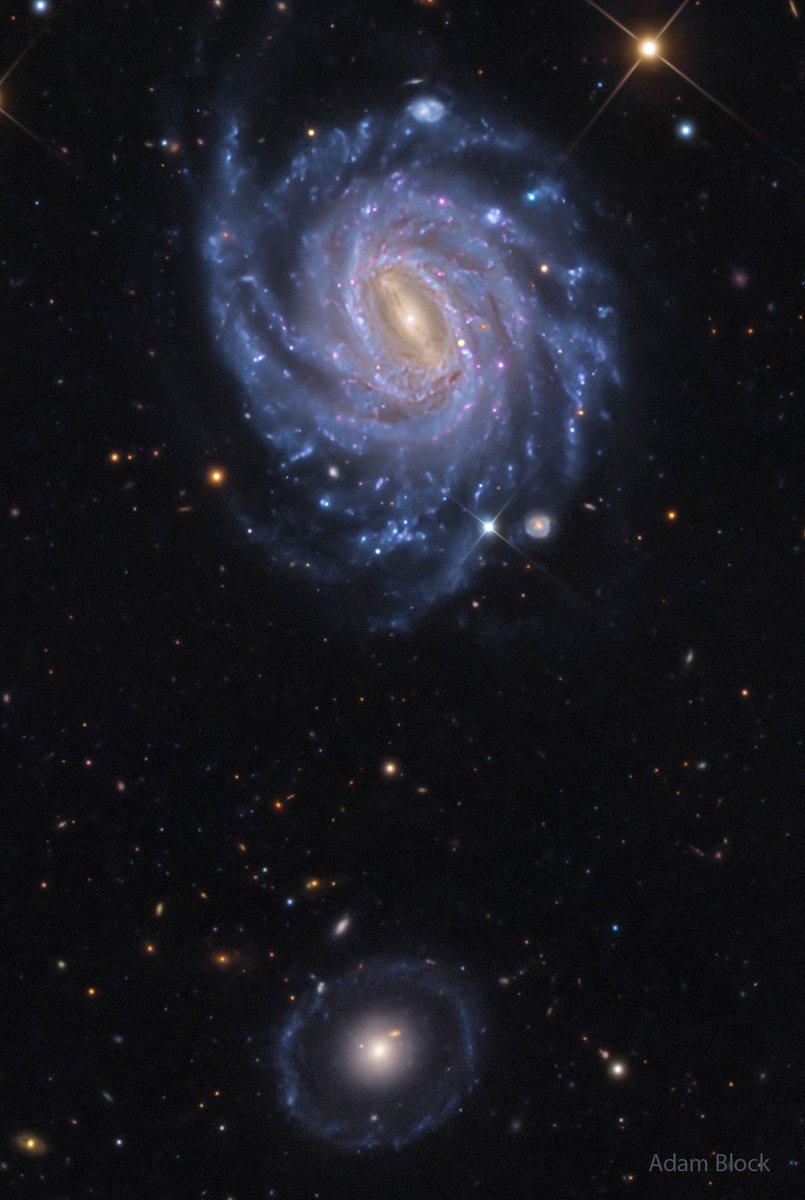 TheNasaBot's tweet photo. 🌌 #Astronomy Picture of the Day - May 26 2026: NGC 3660 and Burçin's Galaxy. #APOD #NASA
➡ More Details: https://t.co/QkrIkEIXoJ https://t.co/iMJ5vpwtU2