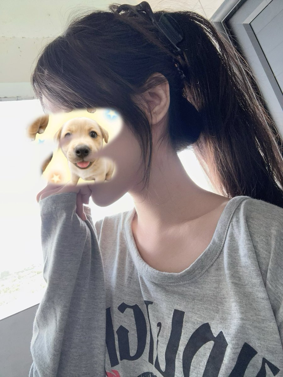 ydzhuans's tweet photo. 这个马赛克上的小狗简直就是我本人… https://t.co/j2wW6SlBHU