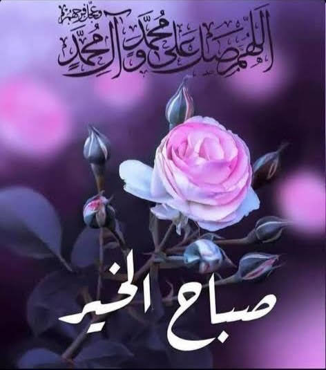 MUHAMMAD FAROOQ WADIWALA. tweet media