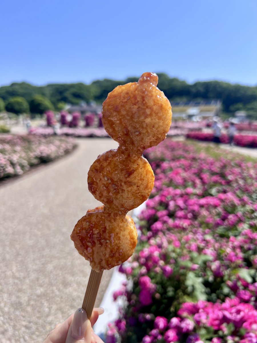 IBIDEN_PR's tweet photo. 「ぎふワールド・ローズガーデン」では、 春のローズフェスティバルを開催中です🌹

実は、園内ではグルメも楽しめるんです💡
中の人は、春のローズモンブランソフトや揚げ五平餅をいただきました😋🍴
ベンチでひと休みしながら、美味しいグルメとともに、ゆっくりとバラをご堪能ください☀️

#ぎふワールドローズガーデン
#春のローズフェスティバル
#バラ園
#ローズガーデン