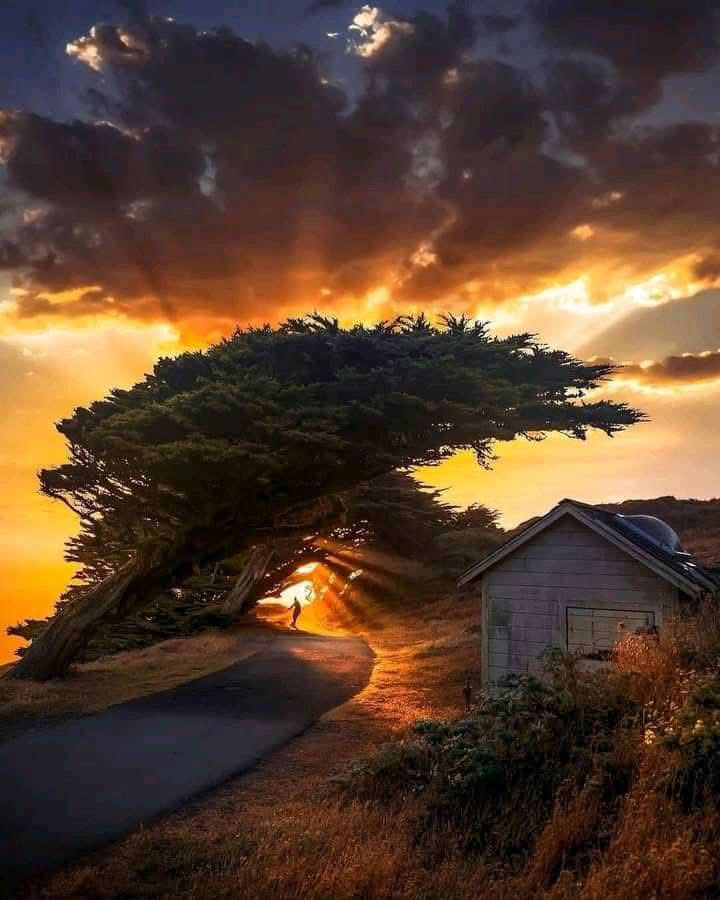 Uznukhair.ton💎 tweet media
