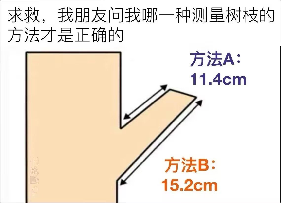 Baibingyang tweet media