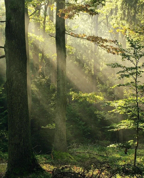 Image from Earth (@earthcurated)