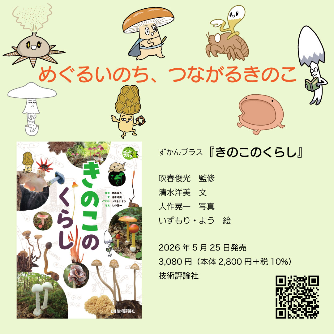 『きのこのくらし』発売されました。見かけたら手にとっていただければ嬉しいです。書店での注文、ネット通販も可能です。 
https://t.co/nkx2RI2rHn 