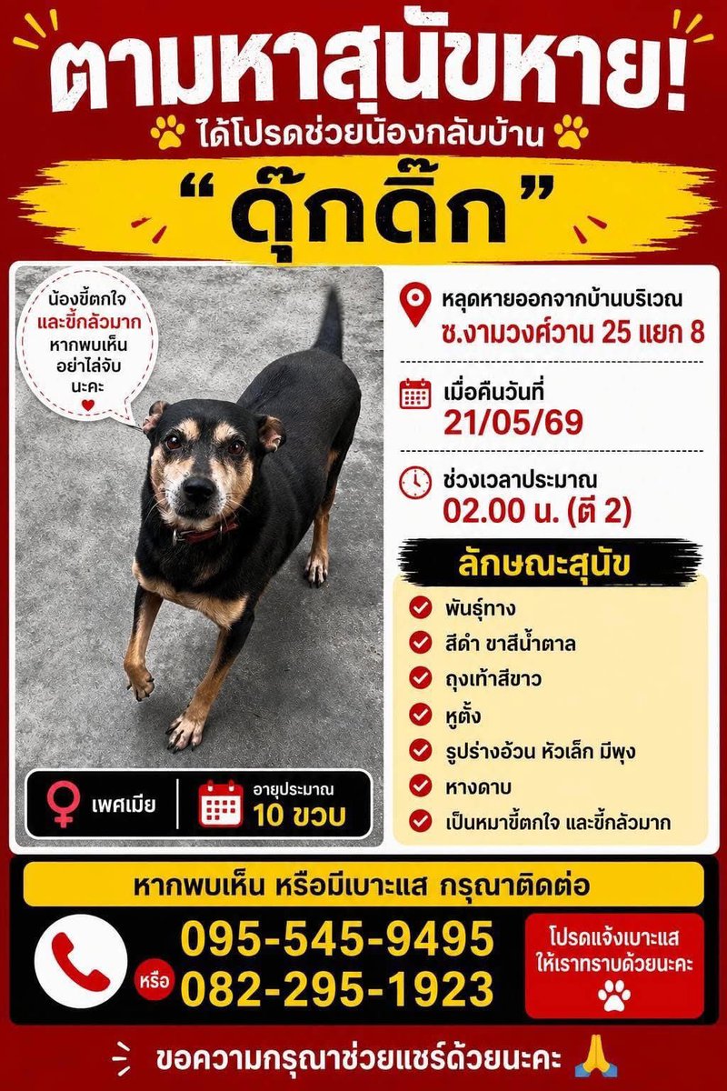 บูม JapanSalaryman|New!คอร์สบริหารเวลาสไตล์ญี่ปุ่น tweet media