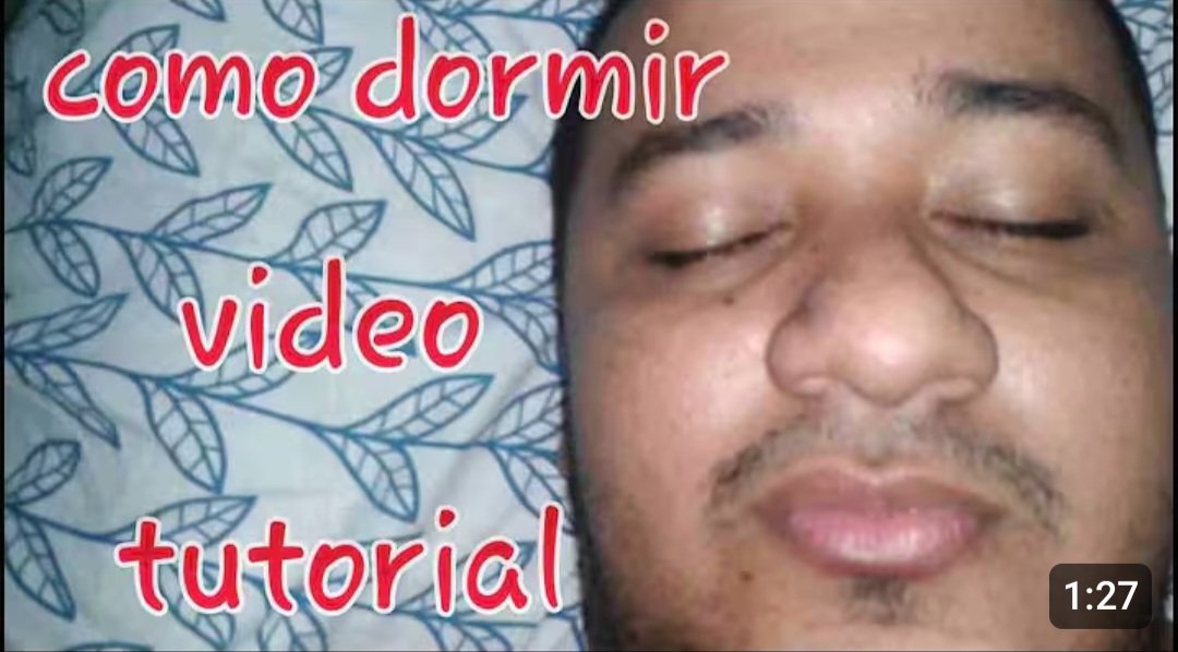 MinaFauna Reloaded tweet media
