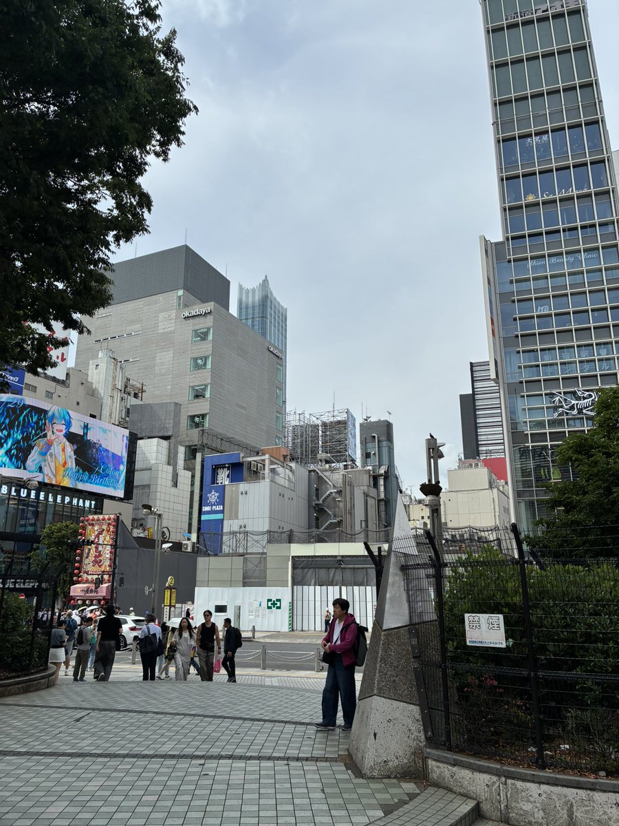 六号 tweet media