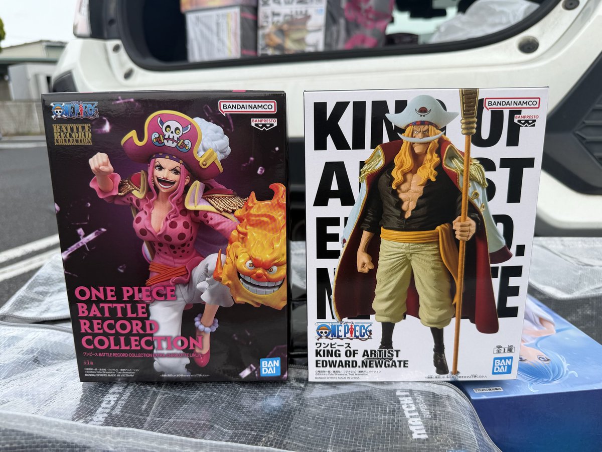 シャーロット・リンリン BATTLE RECORD COLLECTION 下重心 右重心 裏