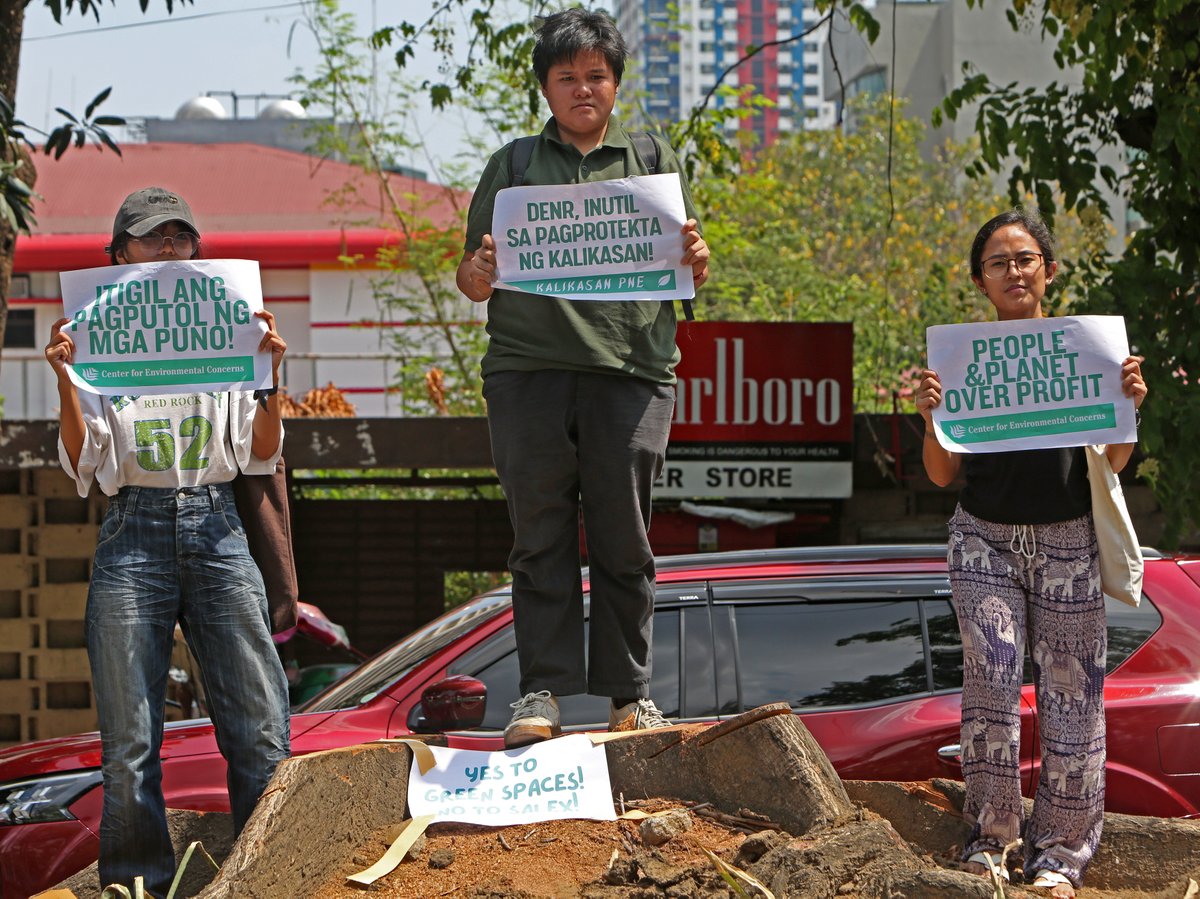 PhilstarNews's tweet photo. 'ITIGIL ANG PAGPUTOL NG PUNO'

Environmental advocates and groups gather along Quirino Avenue to protest the cutting of trees for the 40.62-kilometer Southern Access Link Expressway. 600 trees are targeted to be felled for the project, which will connect the Skyway to the Roxas Boulevard, according to the DENR.

📷 The STAR / Edd Gumban
