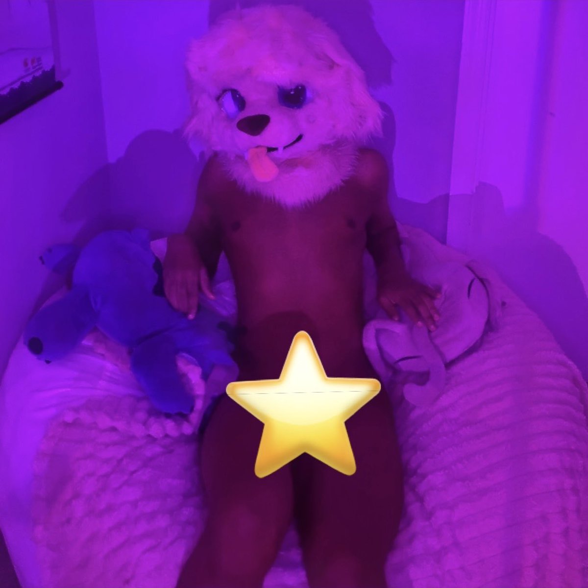 TokenPubby's tweet photo. If I gave you the moon and the stars would you stay? 🌙✨ https://t.co/NwJkEuRfWV
