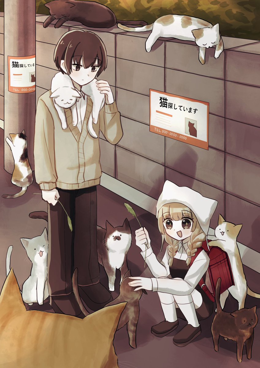 moti____anzu's tweet photo. 猫 https://t.co/Uey3esXdfG