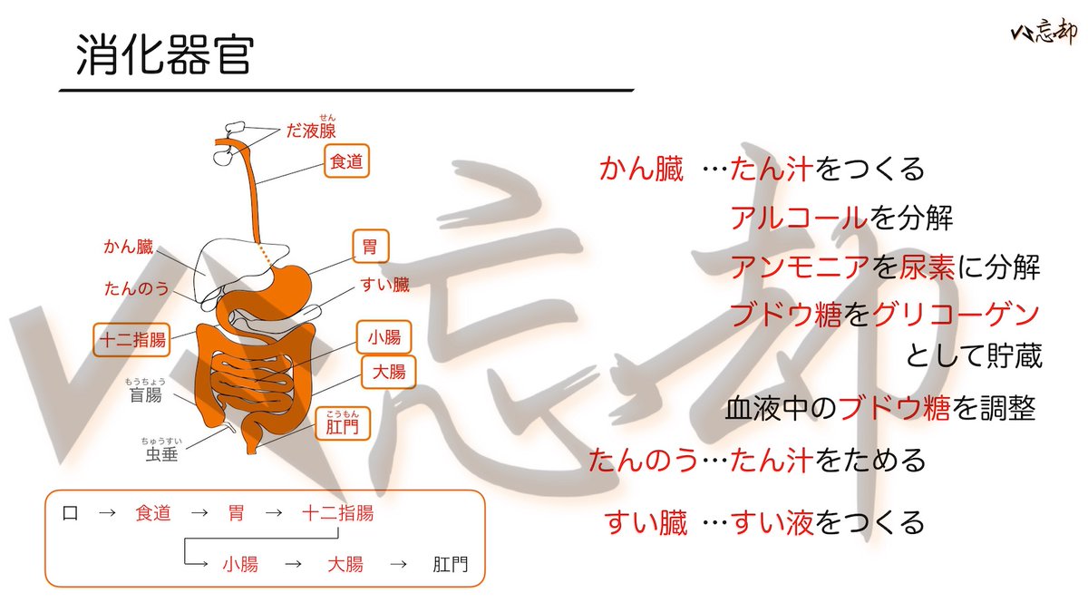 vsbo_anki's tweet photo. <天体⑧>惑星 から１問

太陽系の惑星のうち、太陽からもっとも遠いものは何ですか。

<選択肢>
①海王星
②木星
③天王星
④地球

▼▼解答・解説動画▼
明日の投稿でチェック！

▼更なる挑戦はこちら▼
https://t.co/0jcsy9JsLZ

解説画像は昨日の問題だよ！😊
#中学受験　#暗記　#理科 https://t.co/W3ytGAB44Z