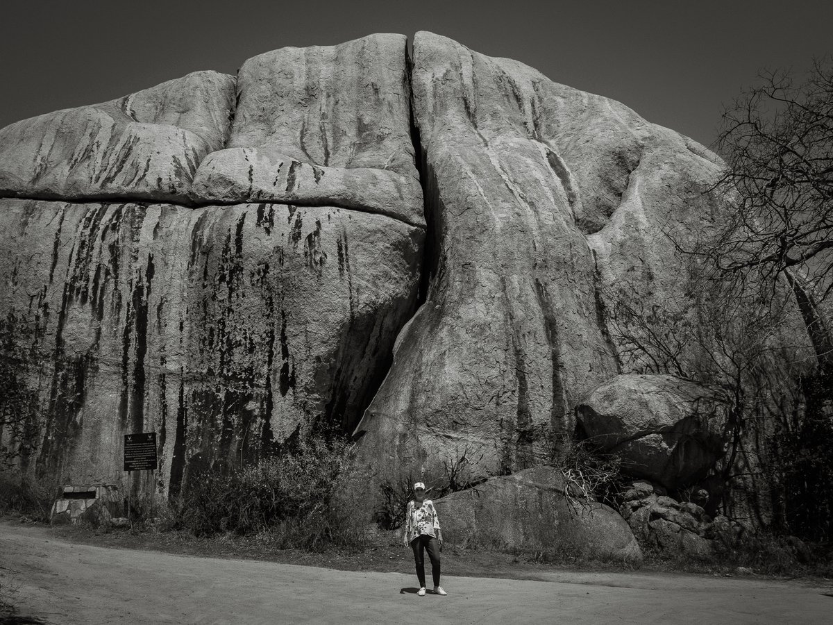 BuysXander's tweet photo. 2024-10 Sanbonani &amp; Kruger National Park: Photo Highlights - Part 2 https://t.co/BEZgz5FVIY