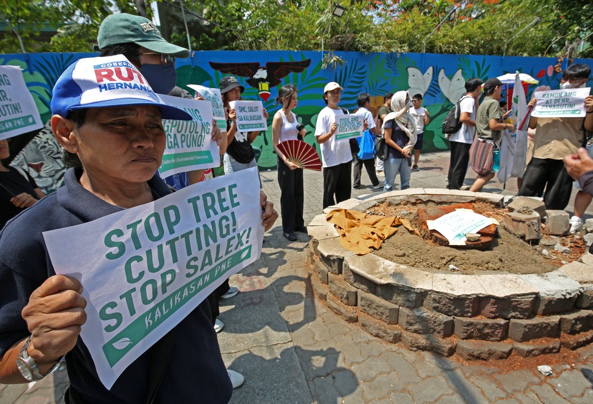 PhilstarNews's tweet photo. 'ITIGIL ANG PAGPUTOL NG PUNO'

Environmental advocates and groups gather along Quirino Avenue to protest the cutting of trees for the 40.62-kilometer Southern Access Link Expressway. 600 trees are targeted to be felled for the project, which will connect the Skyway to the Roxas Boulevard, according to the DENR.

📷 The STAR / Edd Gumban