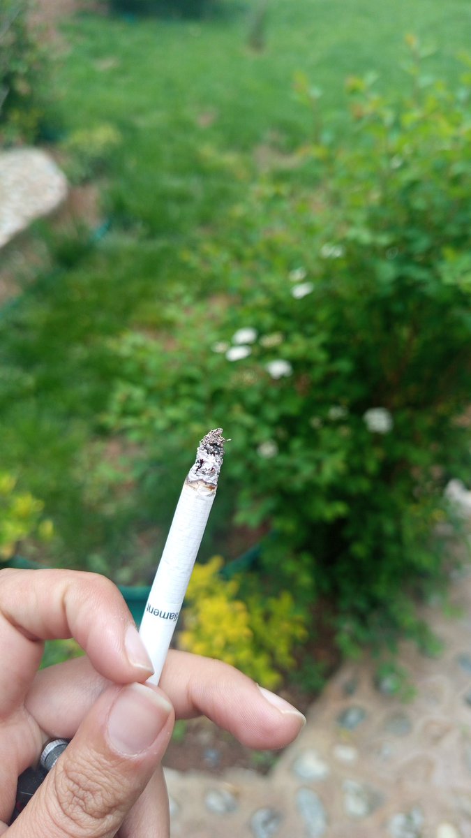 BlackrossZz's tweet photo. Günaydınn ✅🌞 https://t.co/vjG0cEiOaK