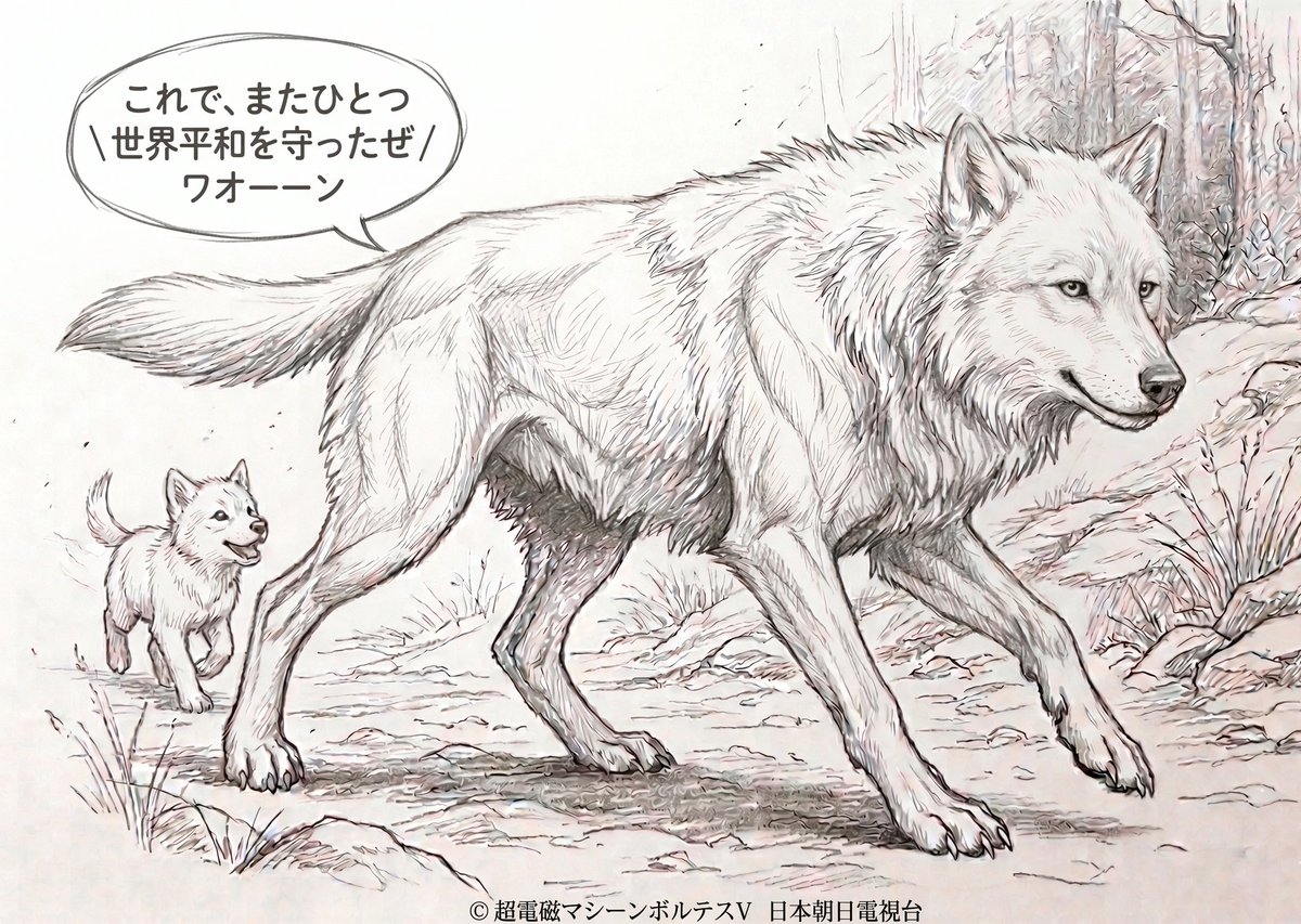 Wolves_Paradise's tweet photo. https://t.co/eqRyokytur