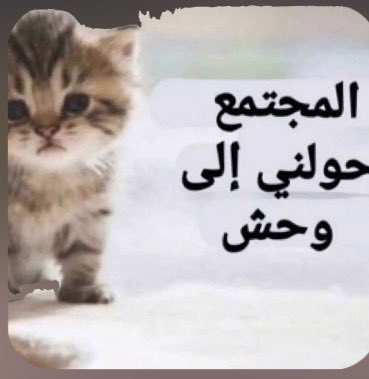 بوشـــــــــــــــــــــــــن tweet media