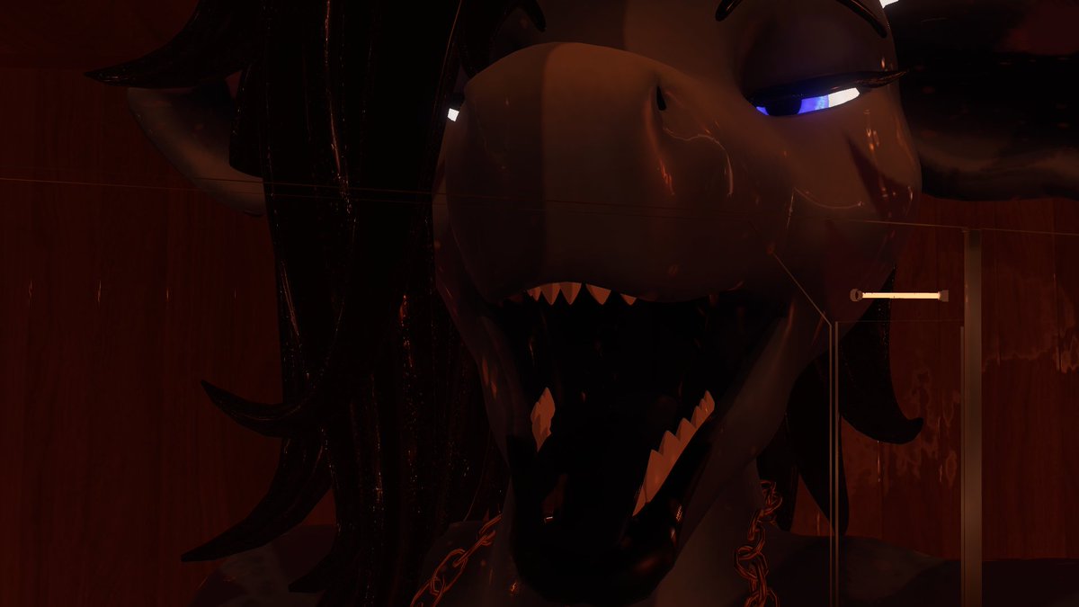 bovine shark tweet media