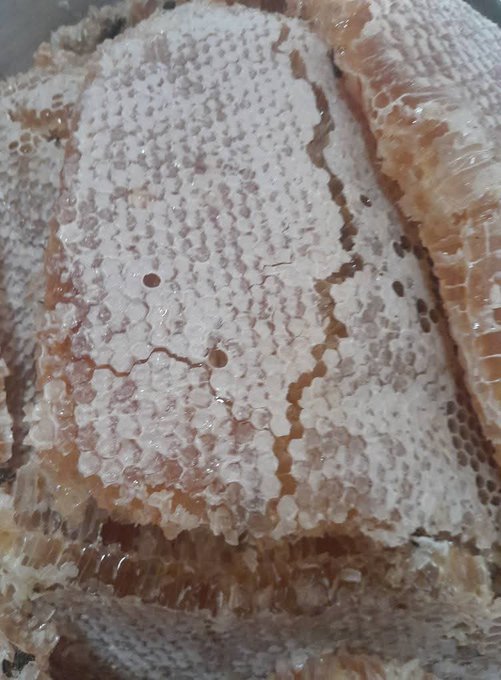 Bees Natural Farm tweet media