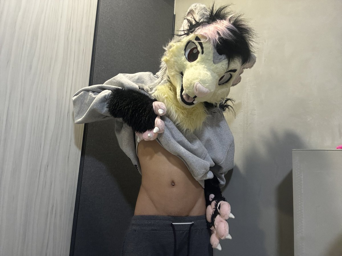 Tem 鼠🐭 🔜 AC 2026 tweet media