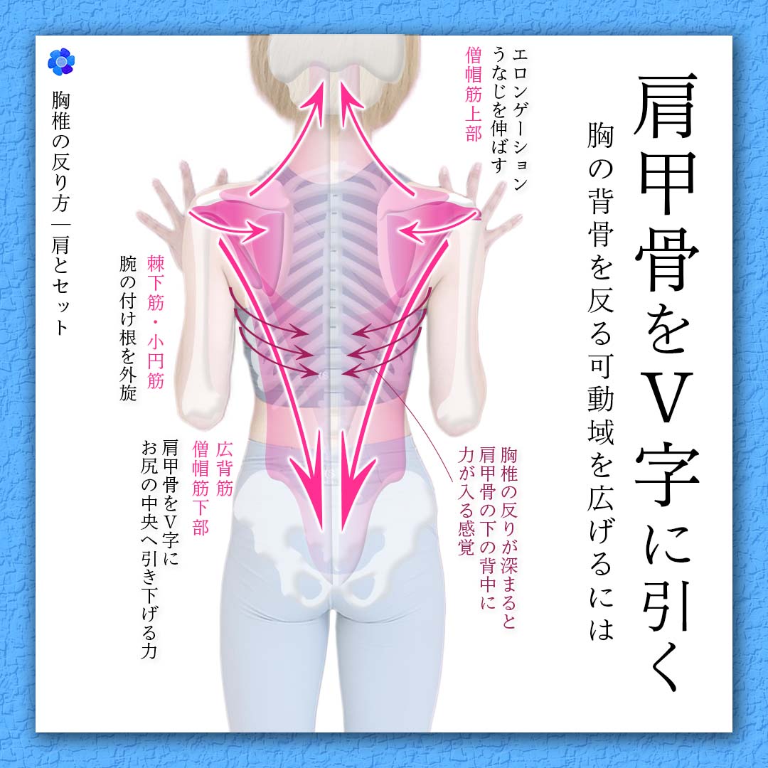 Hiromi tweet media