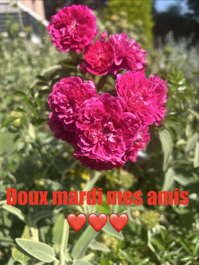 expatdu06 tweet media