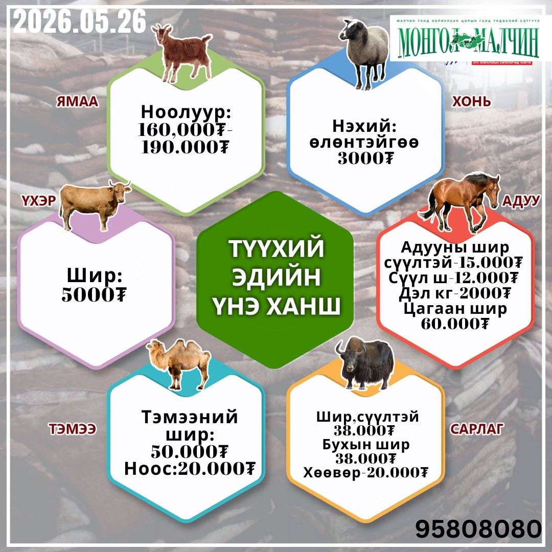 Monkhj's tweet photo. "ЭМЭЭЛТ" ЗАХЫН ТҮҮХИЙ ЭДИЙН ҮНЭ ХАНШ 2026 ОНЫ 05 САРЫН 26✅
"МОНГОЛ МАЛЧИН МЭДЭЭЛЛИЙН АГЕНТЛАГ".
УТАС:89669950📲📞 https://t.co/j5AvQ2Ocgl