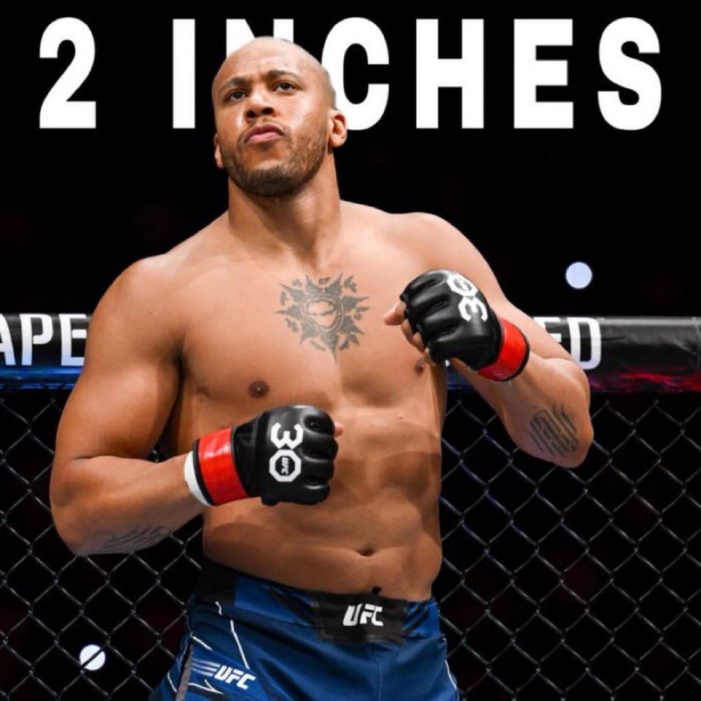 Casual MMA tweet media