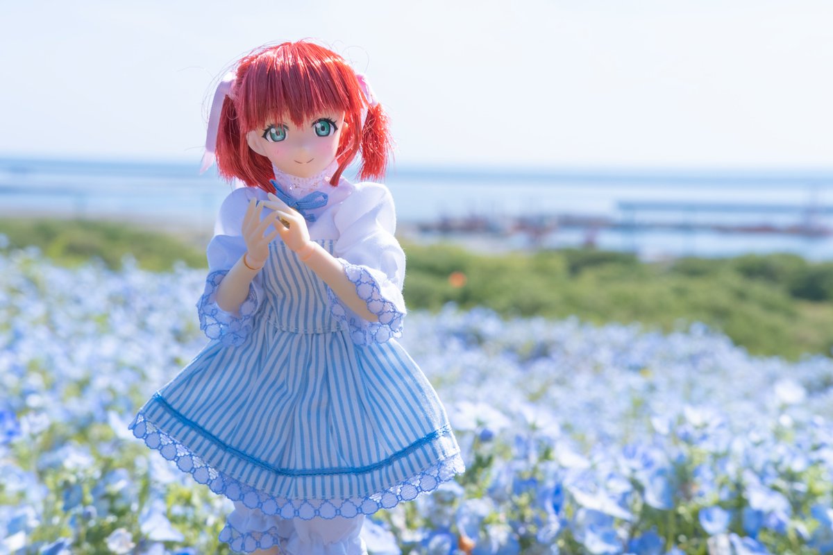 ルビィちゃんとネモフィラの花。 #黒澤ルビィ