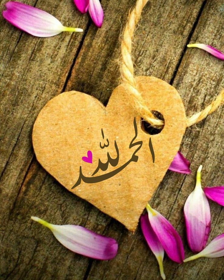 2zpr_'s tweet photo. @hame7 اللهم آمين يارب 🤲🏻 https://t.co/oJUcLsVvF9