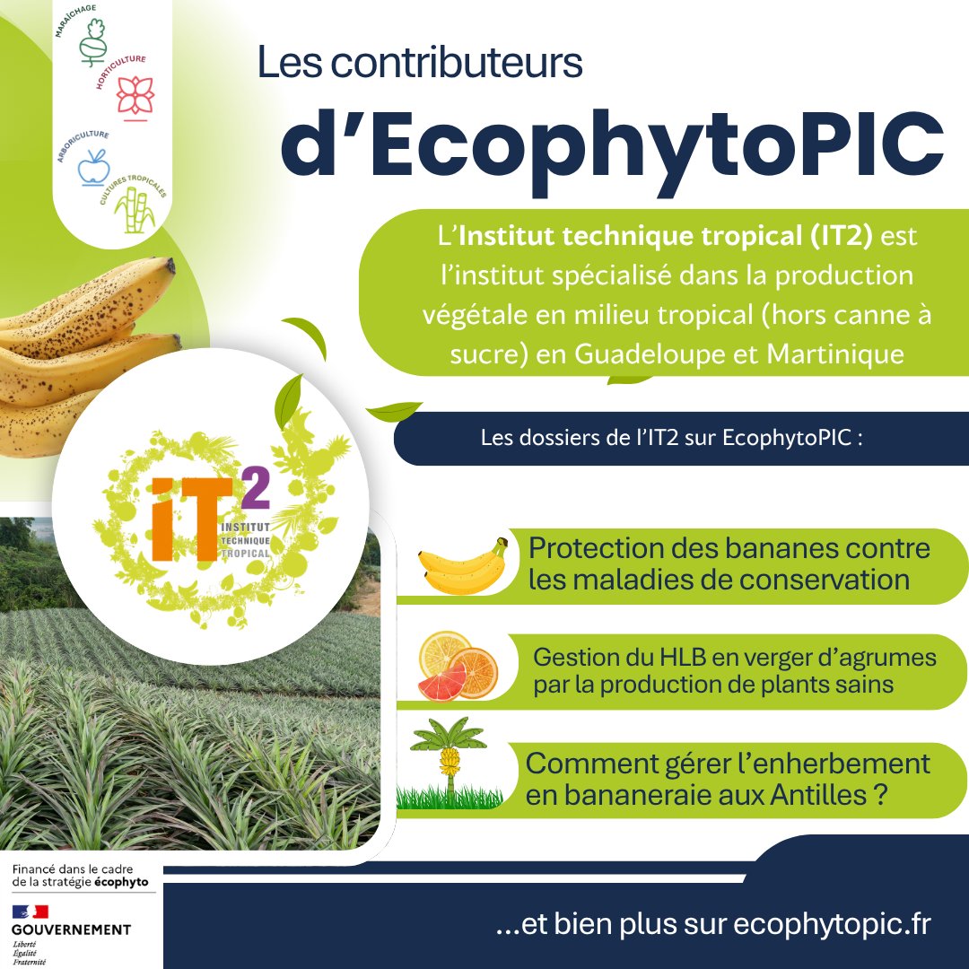 EcophytoPIC tweet media