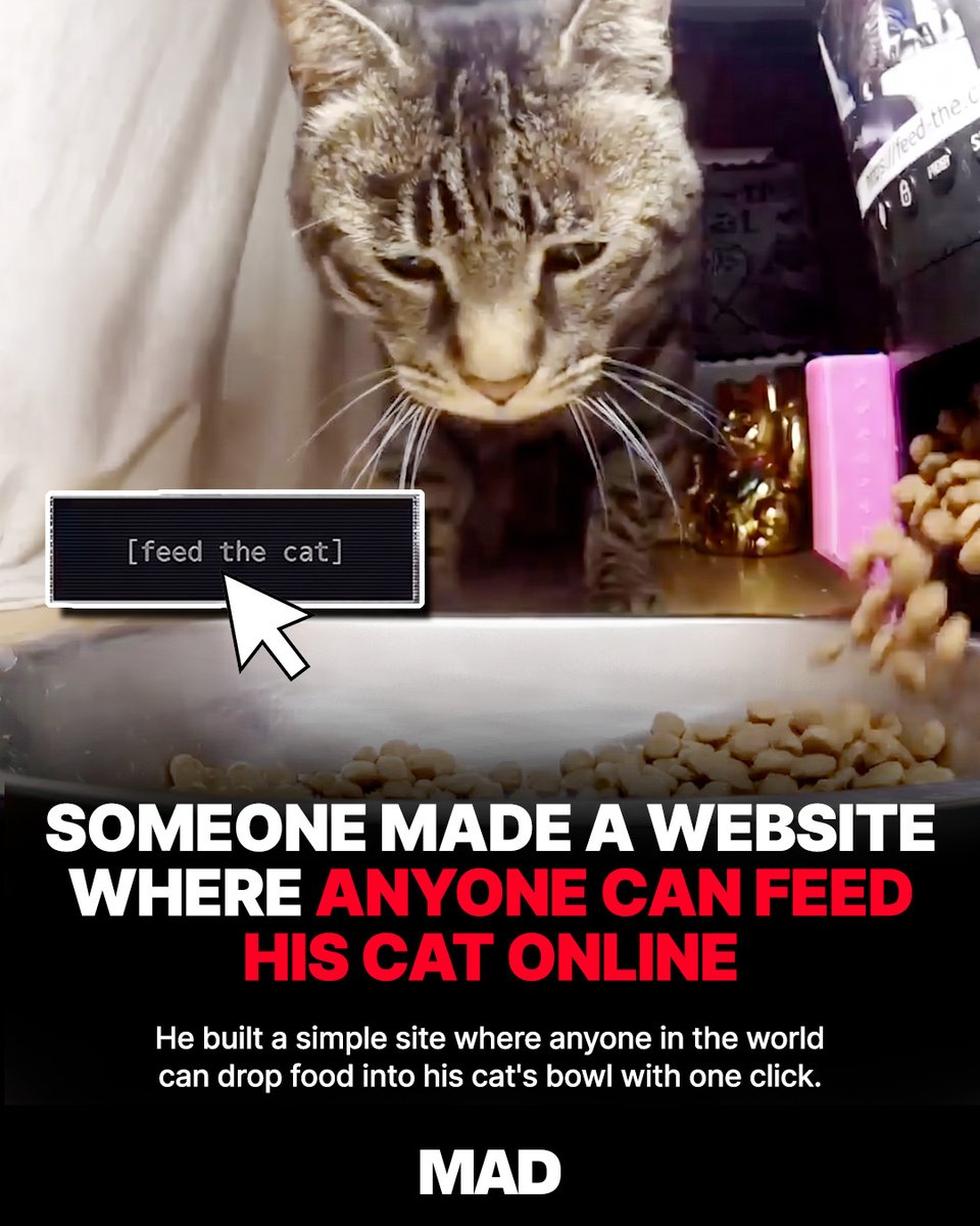mobileappdaily's tweet photo. Someone built a website where strangers on the internet can feed his cat in real time. you join the stream, press the button, the dispenser goes off, the cat runs over.

Source: @TimJayas https://t.co/u1grGVaWCZ