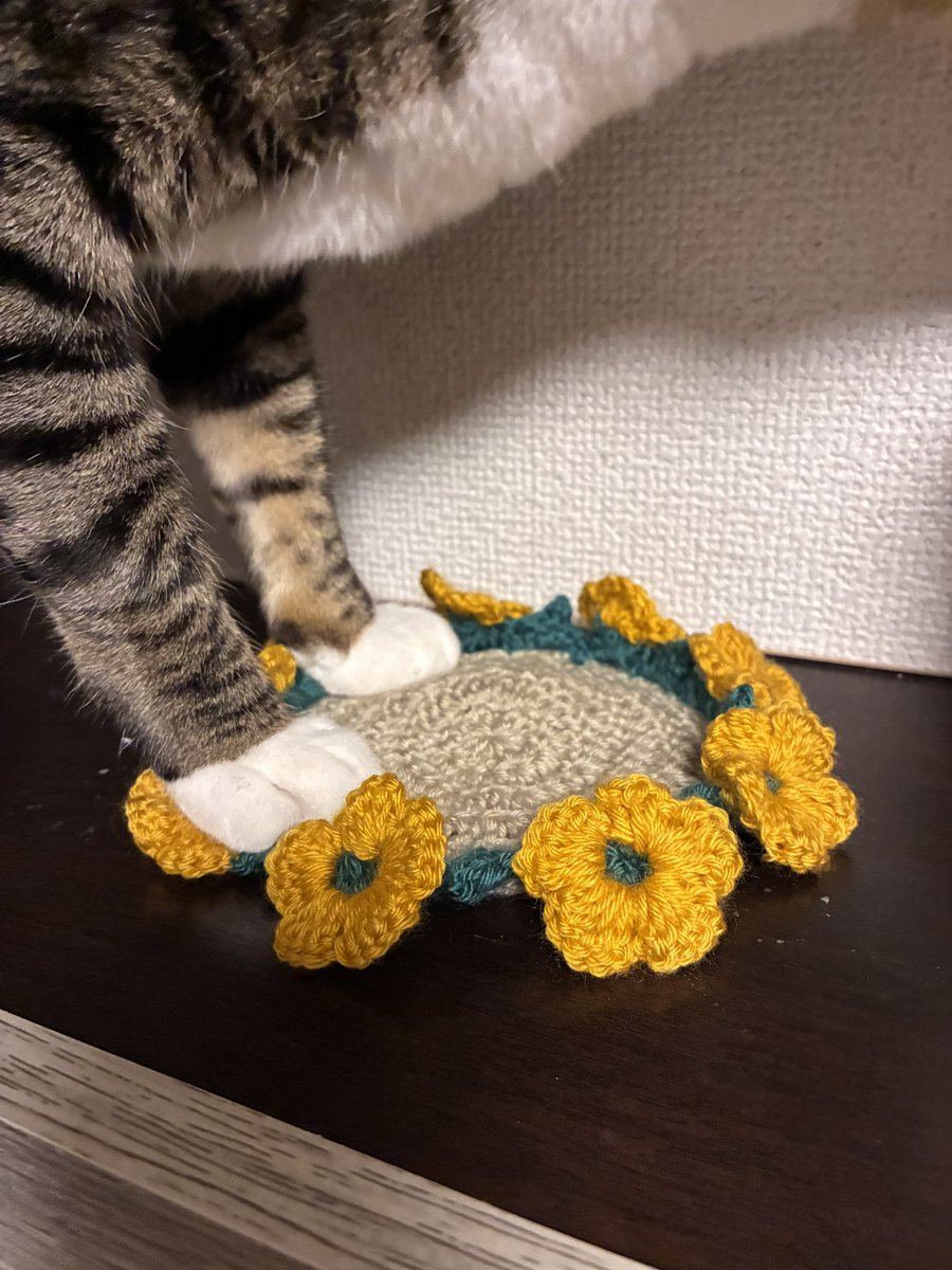 NachioMegamix's tweet photo. なんかお花コースター編んでみたり https://t.co/llylJemXSf
