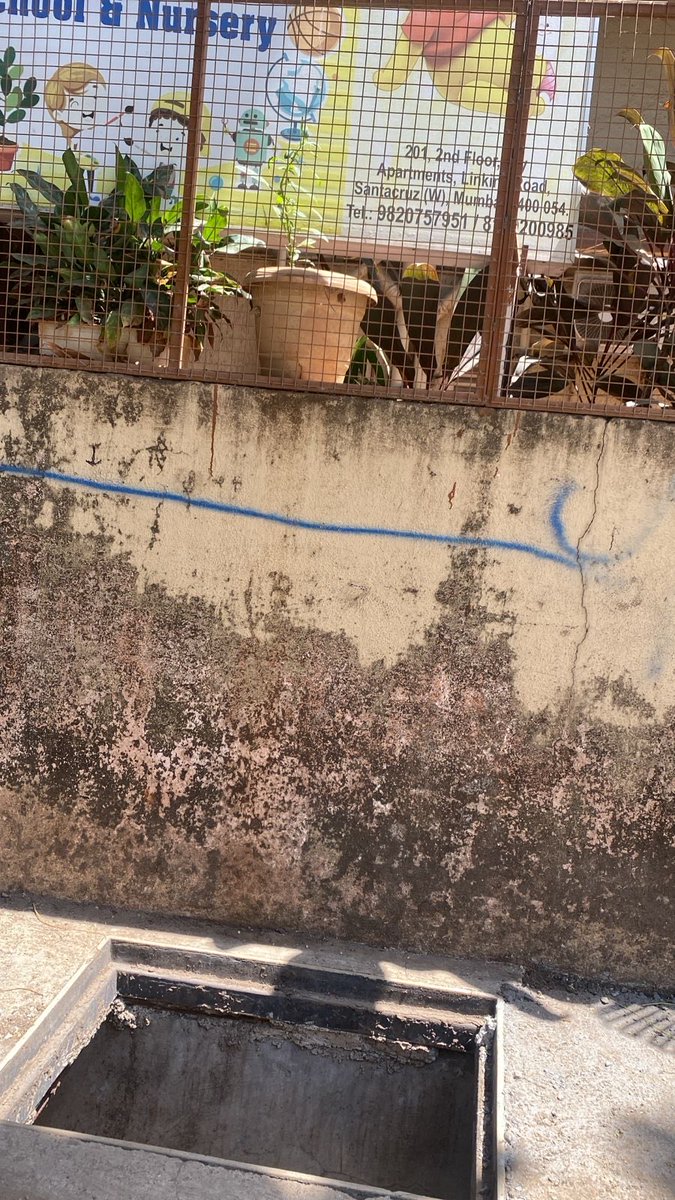 SWAT - Santacruz West Action Team tweet media