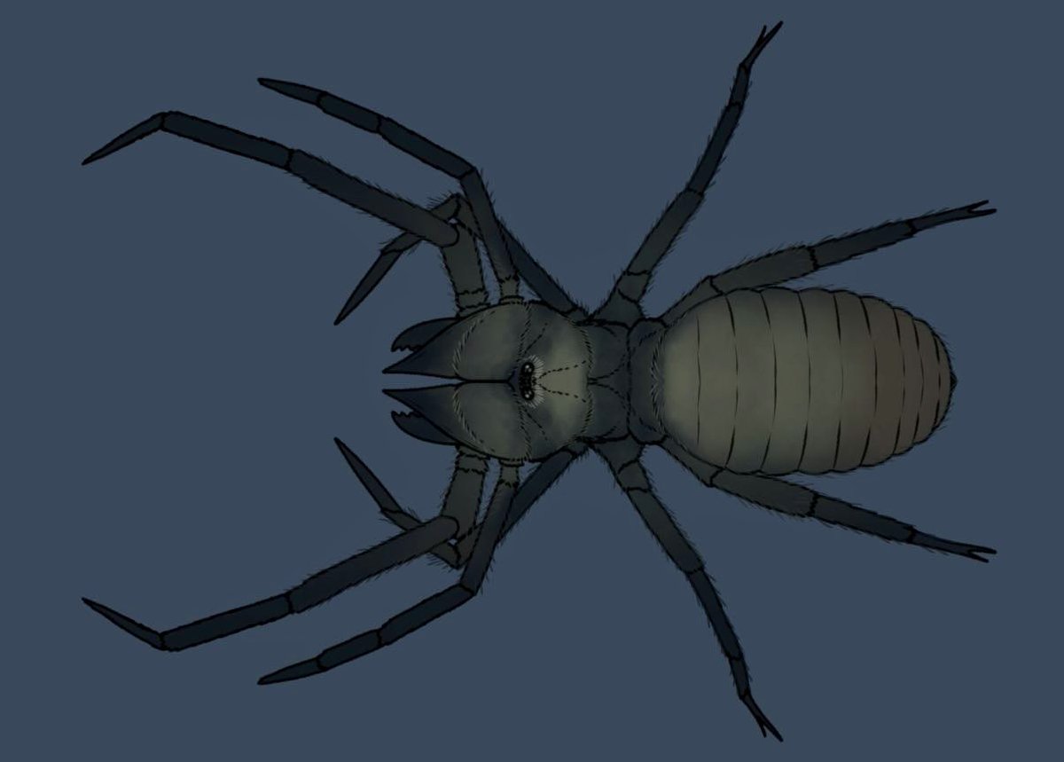 SmashAssemble's tweet photo. Onto Primeval Ep2, we have Protosulpuga carbonaria once again reconstructed by @MrFragilis infesting the London Underground.

(While I’m 99.9% sure the design in the show is meant to be Megarachne, I subscribe to what @TheHodgeOfPodge suggested in TGPS’s vid, it’s a Solifugid) https://t.co/YETSD96eYB