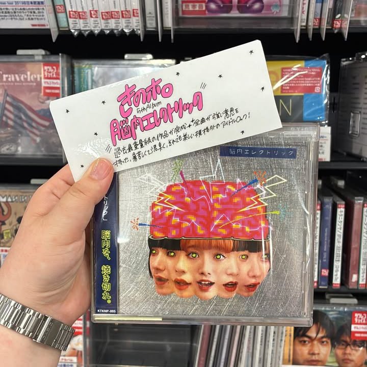 激レア未開封限定盤 ハナレグミ／TOURあいのわ ヒカリトカゲ・キーホルダー付き トレカケース - メルカリ ミュージック